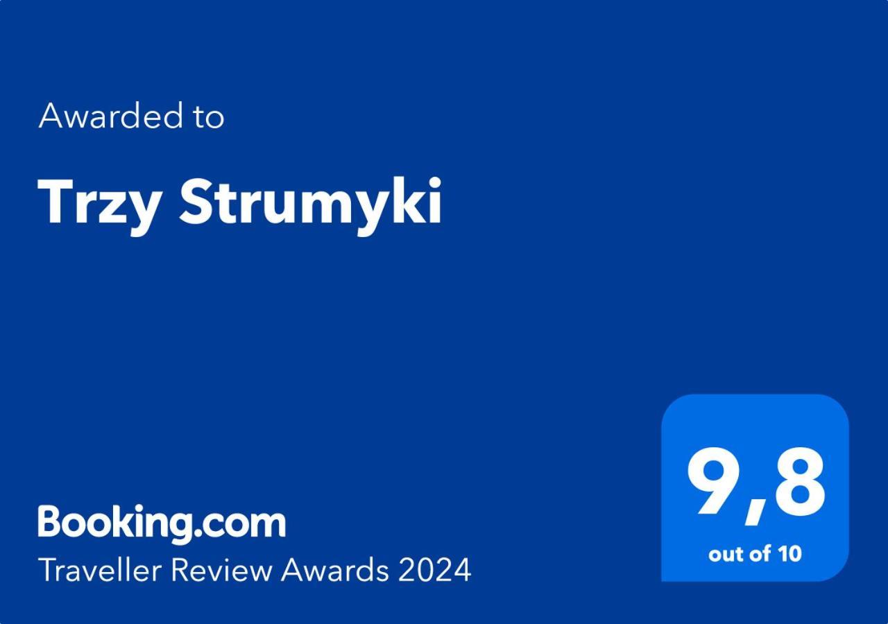 Trzy Strumyki Kąty Bystrzyckie 外观 照片